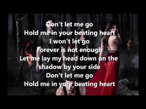 The vampire diaries- Raign-Don't let me go lyrics
