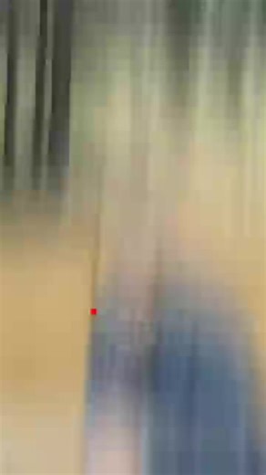 The Government Fined Me for a Root Cellar?!