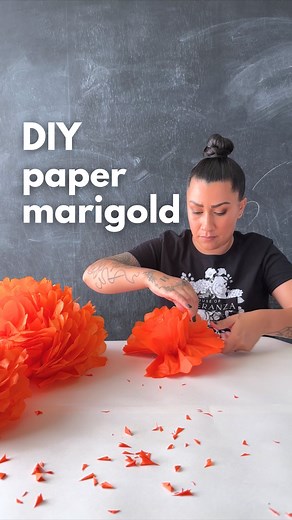 Monica Chavez | DIY | Latina on Instagram: "DIY paper marigolds perfect for your Dia de Muertos ofrenda Supplies: - Orange or Yellow tissue paper (also try staining coffee filters if you already have those) - Scissors - Floral wire or pipe cleaner - (Optional) paper plate + wall mounting putty The following tissue paper size gives these finished flower sizes: 7” x 10” tissue = 9" flower 14” x 20” tissue = 14" flower 20” x 28” tissue = 17" flower Feel free to get creative with the sizes! I recomm