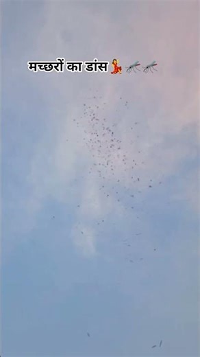 Mosquito Sound's effect 🦟😱#shorts #mosquito #ytshorts #shortsfeed #viralshort #explore #insects #yt