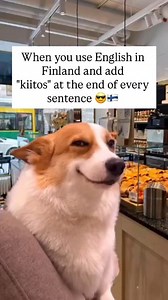103K views · 3.4K reactions | The “Speak Finnish Fast” Strategy in...
