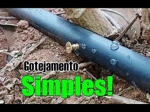 Sistema de gotejamento eficiente, simples e barato