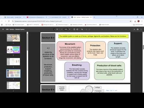 CSEC Biology Recorded Session: The Skeletal System, Joints, and Locomotion Explained