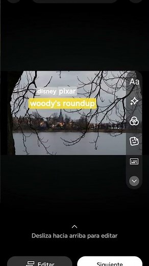 woody's roundup (2001-2003) tv series