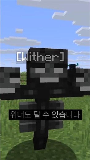뭐? 위더를 탈 수 있다고?