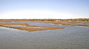 Ocean Isle and Sunset Beach Webcams