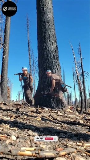 Amazing Skills in Action 🔥 | Wood Cutting, Molding & Marble Printing Machines #workers