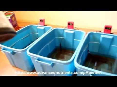 Advanced Nutrients: pH Perfect Demonstration