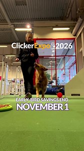 ⏱️The countdown is on! Early-bird savings for ClickerExpo 2026 end on Saturday, November 1. Whether you’re joining us virtually from home in January or in person in New York in March, ClickerExpo is your ticket to "a-ha" inspiring workshops, hands-on learning, and connecting with a global community of trainers and animal lovers. Secure your spot now and make sure you catch the best price before it’s gone! | Karen Pryor Clicker Training