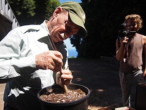 How To Do Durian Grafting At The Hypocotyl Stage - Year of the Durian