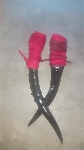 Kuye kube kuhle nokuthi uma umsamo wakho usuwulungisile bese uyawucupha uwuqinise ukugwema ukusebenzela emva ilokhu kwathiwa umsamo uphenduliwe noma kukhona ozama ukuwuthwebula ,kuze kuthi nodlalelayo kuwo ezwe ngathi uyasha kanti vele useshile . | Imithi yesintu # sidla ngoludala