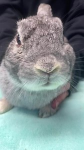 2.7K views · 193 reactions | What you are looking at here is called...