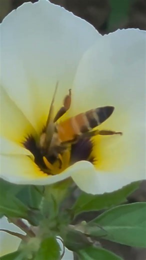 LIFE IS FUN # SHORTS 😘