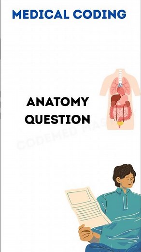 CPC Exam Anatomy | Fast Breakdown of a Frequently Asked Question! #shorts