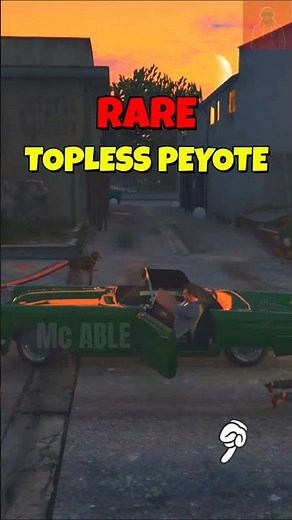 Rare Hidden Car Location in GTA 5 Story mode | Mc ABLE #gta5