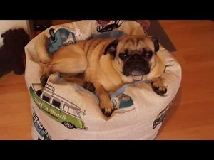 DIY Sitzsack/Körbchen für Hunde nähen
