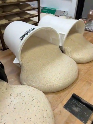 Shaping up a couple loaves for tomorrow! #bread #sourdough... #Shorts #dantheebaker