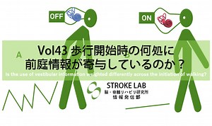 【2024年版】前庭覚情報が歩行に影響を及ぼすタイミングとは？ 脳卒中/脳梗塞のリハビリ論文サマリー
