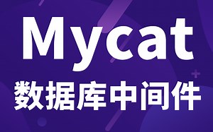 Mycat入门到实战教程，性能最好的数据库中间件，1小时带你精通