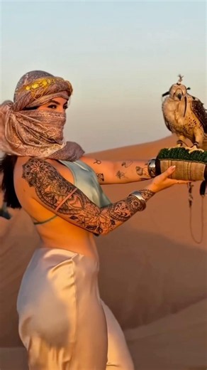 Abu Dhabi Desert Safari 🇦🇪 | Golden Sunset, Falcon & Arabian Desert Experience #shorts