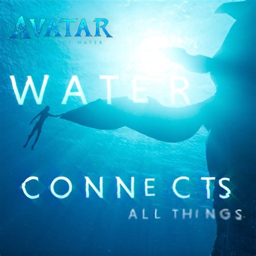 32K views · 2K reactions | The Way of Water connects all things  Experience Avatar: The Way of Water now playing only in theaters. Get tickets: www.fandango.com/avatarthewayofwater | Avatar | Facebook