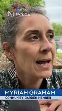 City of Ottawa closes community garden after conflicts between gardeners