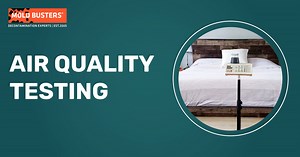 Professional Air Quality Testing Service | Mold Busters