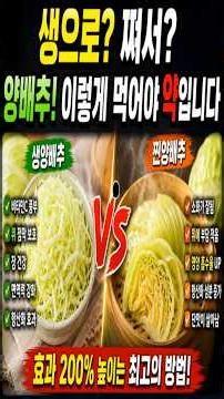 생양배추 vs 찐양배추! 효능 더 건강한 먹는 법은 따로 있습니다#양배추 #생양배추 #찐양배추 #양배추효능 #위건강 #장건강 #면역력 #비타민C #건강정보 #건강상식 #시니어건강