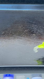 Ribeye Steak and Cheese on the Pit Boss Ultimate Griddle 🥩🧀 Weekend recipe inspiration from @ninjacue coming in hot! #pitbossgrills #ribeyesteakandcheese #griddlerecipe #recipe #bbq | Pit Boss Grills