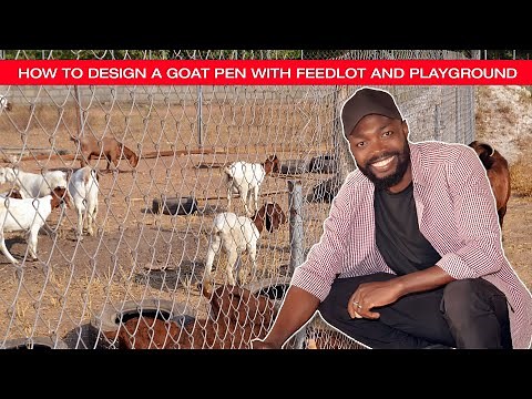 A TOUR OF THE BEST GOAT FARM DESIGN EVERY GOAT FARMER IN AFRICA MUST HAVE