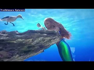 Mermaids Were Captured on Camera