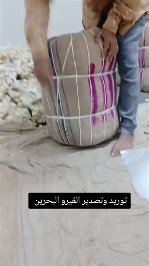 فاكهة القيرو في السعودية والصين