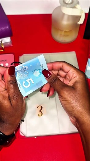 100 Cash Envelopes Stuffing💌 #cashstuffing