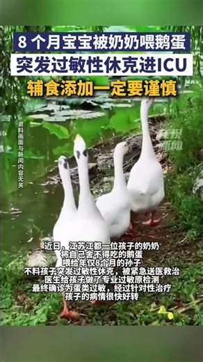 5月12日（发布）8 个月宝宝被奶奶喂鹅蛋，突发过敏性休克进ICU！#婴儿 #辅食