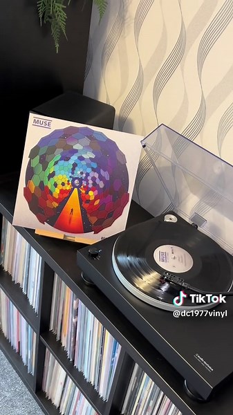 Muse's Undisclosed Desires: A Vinyl Journey