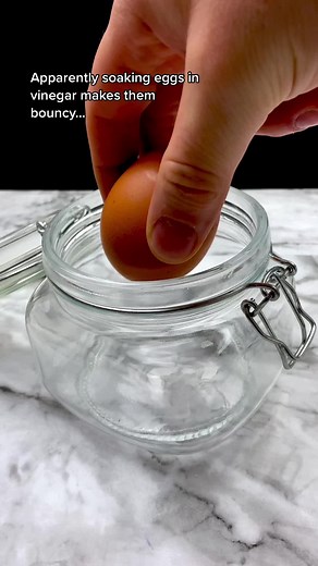 Bouncing Egg Science Experiment