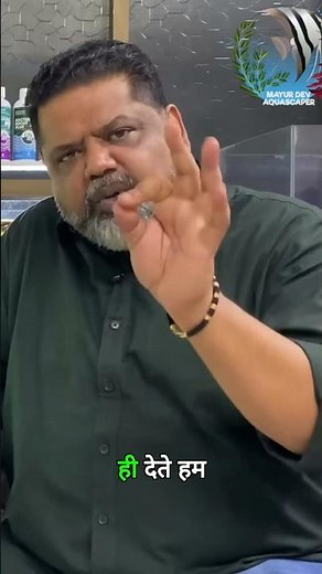 Apistogramma Fish Tank Setup Secrets Revealed