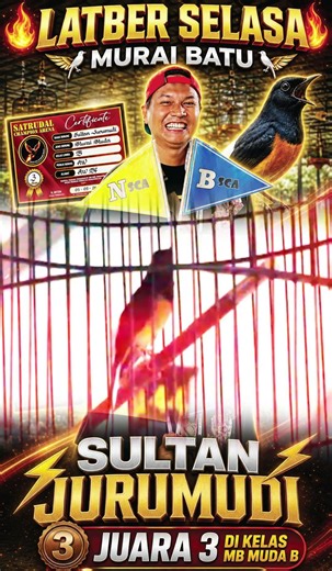 Murai Batu Sultan Jurumudi.....!!! 05 Mei 2026
