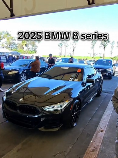 Exploring Auction Cars: Incredible Deals You Can't Miss