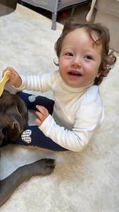 4.3K views · 326 reactions | Più crescono insieme e più sono belli 殺❤️ . . #MASSIeMINO #funny #viral #reels #baby #puppy #babygirl #doggo #americanbully #dog #cutedog #bullyuk #doglovers #fundog #foryou #fypage #fyp #fypシ #bully | G00D View | Facebook