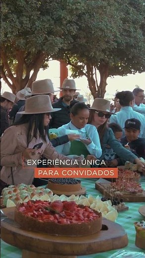 Os melhores momentos da Vindima 2025 🍇