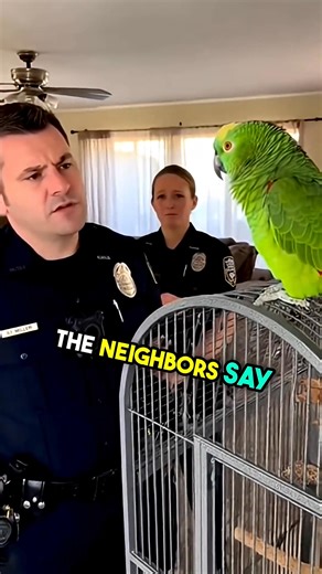 “Police vs Real Parrot — The Funniest Interrogation Ever! 🦜😂 #birds #funny | Police activity
