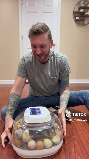 Meet my new babies! #fyp #babychicks #farmlife | baby chickens