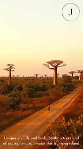 Visit MADAGASCAR🦁🌴 Known for their natural beauty, limestone forests and an extensive range of wildlife.🦓 @JourneysALaCarte will be with you every step of your holiday booking process, ensuring your holiday is exactly as you imagine.✈️ The process is swift and will be handled by handpicked experts who will guide you throughout your journey.💌 | Northants Life