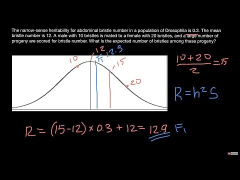 Narrow Sense heritability and Response to Selection explained