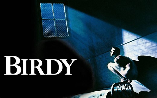 【电影原声】【Peter Gabriel】鸟人 Birdy (1984)