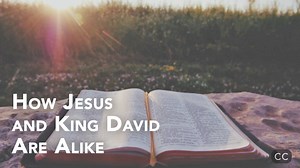 39K views · 302 shares | David- A Type of Messiah | Messianic...