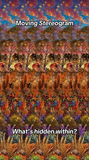 Discover Hidden Images in Moving Stereograms