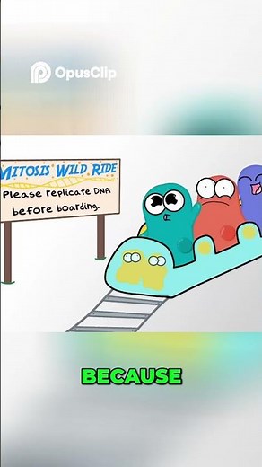 DNA replication is a vital process that occurs before cell division, ensuring that each new cell rec