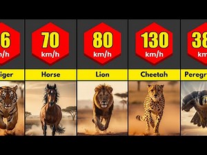 Speed Comparison: Fastest Animals of All Time